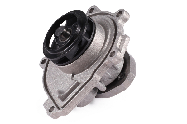 Hepu P363 Waterpomp